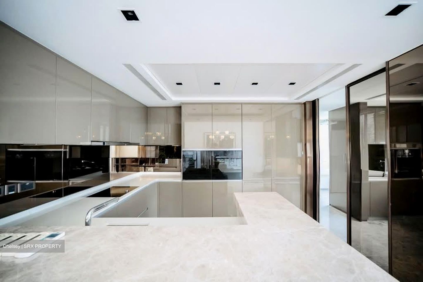 Scotts Road (D9), Condominium #592152191